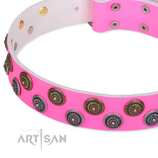 Full grain leather dog collar with fashionable decorations