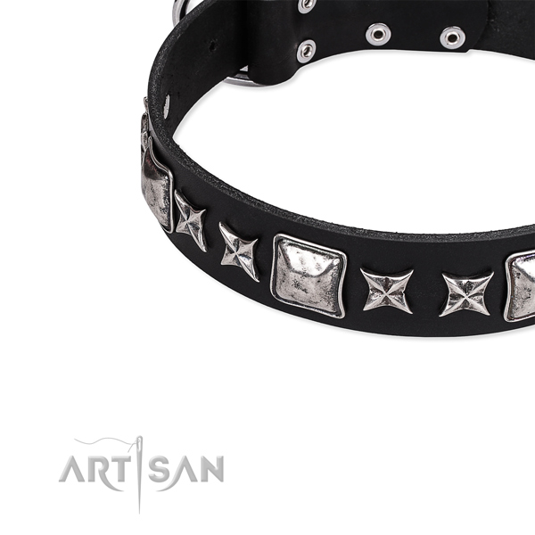 Full grain natural leather dog collar with stunning adornments
