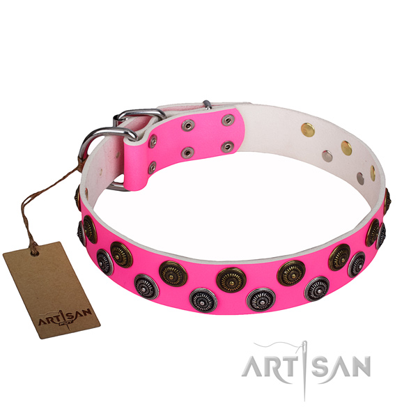Top notch full grain natural leather dog collar for daily use