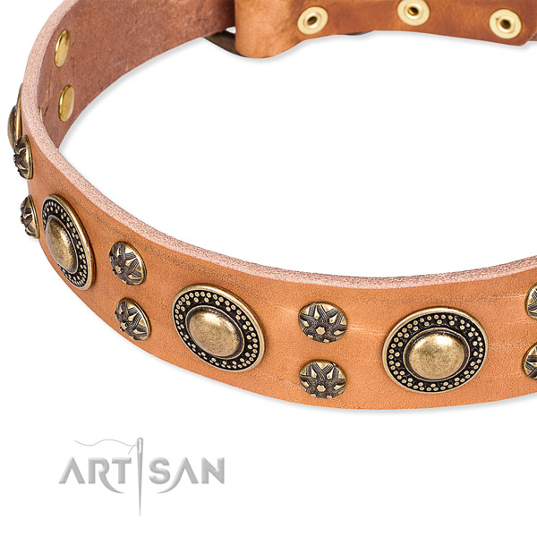 Leather dog collar with unique adornments