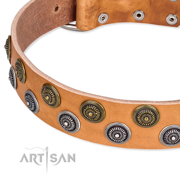 Genuine leather dog collar with trendy adornments