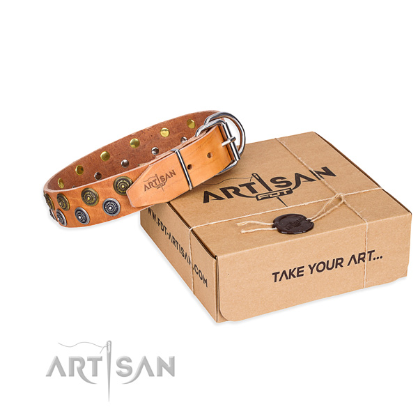 Full grain leather dog collar with adornments for everyday use