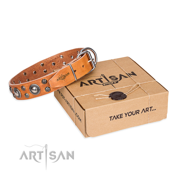 Awesome full grain natural leather dog collar for everyday walking