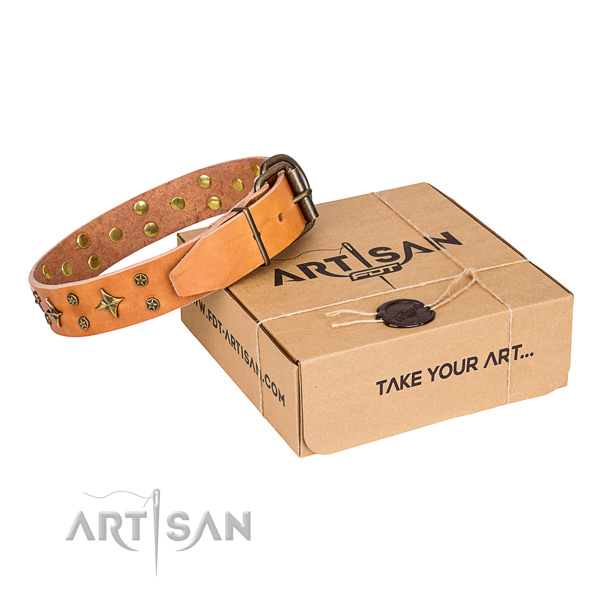 Studded full grain leather dog collar for walking
