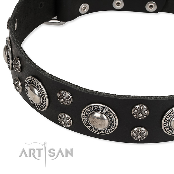 Easy to put on/off leather dog collar with extra sturdy non-rusting buckle