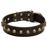 Gorgeous Wide Leather Dog Collar