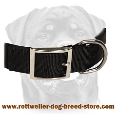  Reliable hardware on wide nylon collar 