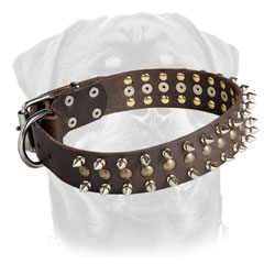 Comfortable leather collar for training and     walking with Rottweilers