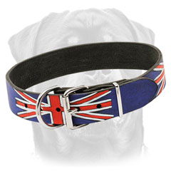 collars for big dogs