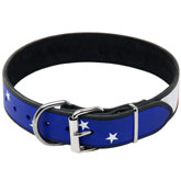 Leather dog collar - Hand painted