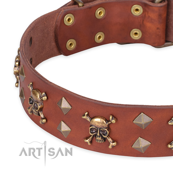 Casual style leather dog collar with sensational studs