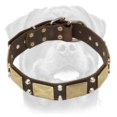 Studded leather dog collar