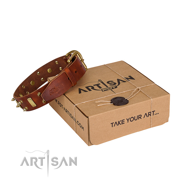 Everyday leather dog collar with astounding studs