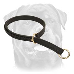 Fully leathern braided dog collar