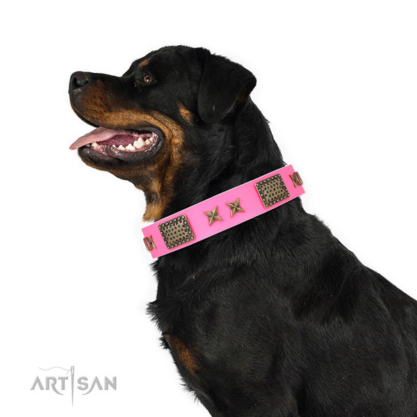 Remarkable adornments on walking full grain leather dog collar