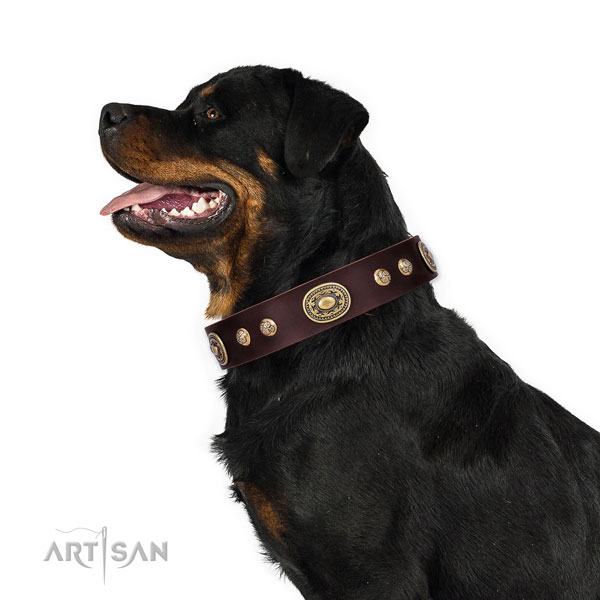 Unusual studs on handy use dog collar