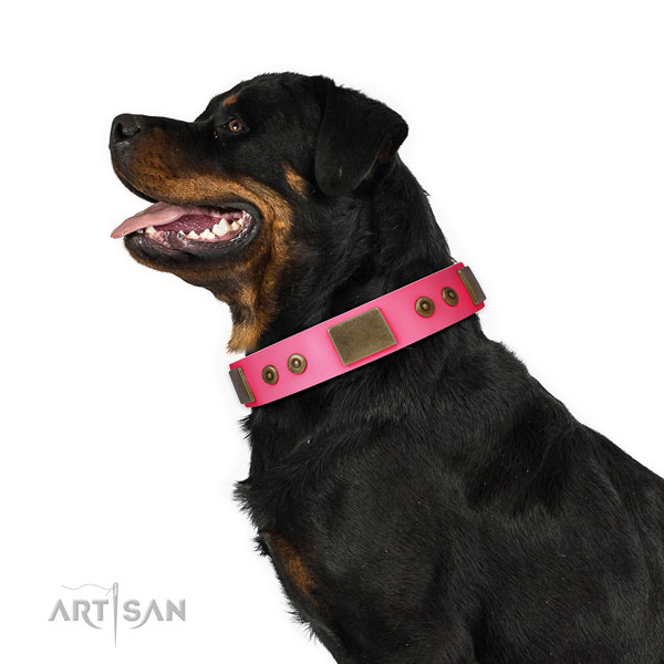 Exquisite genuine leather collar for your lovely dog