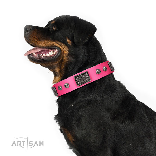 Easy wearing genuine leather collar for your beautiful pet