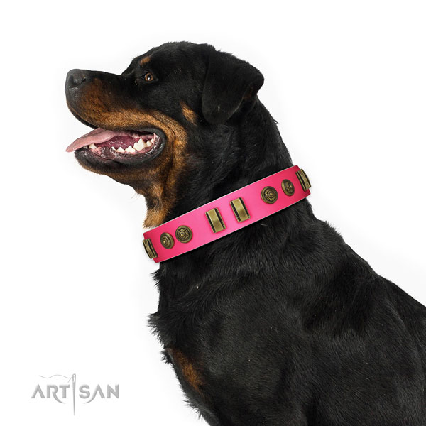 Everyday use dog collar of leather with exceptional decorations