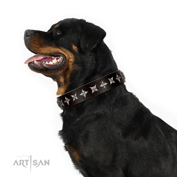 Comfy wearing adorned dog collar of top quality leather