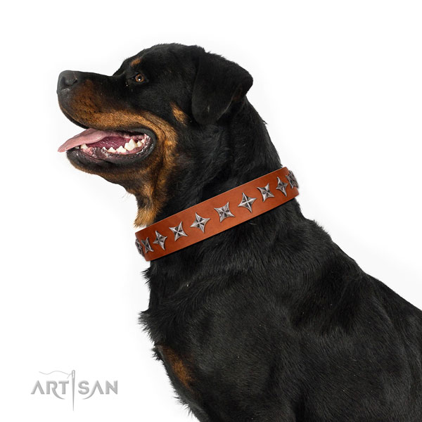 Fine quality full grain genuine leather dog collar with awesome studs