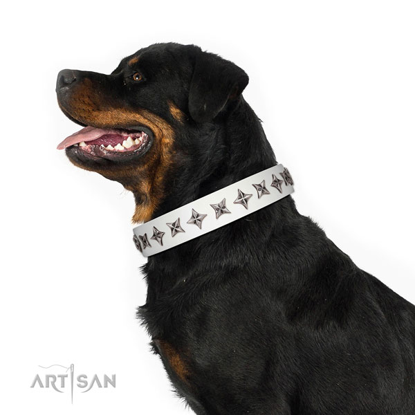 Top quality full grain natural leather dog collar with stunning embellishments
