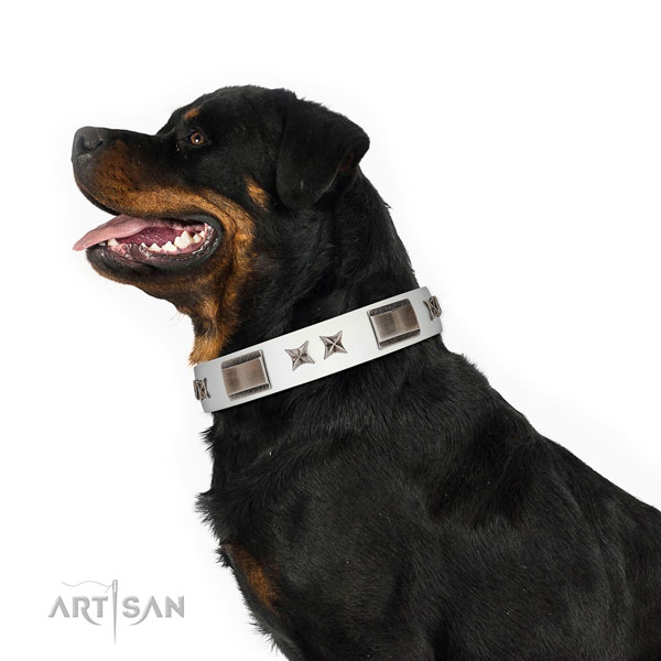 Decorated collar of genuine leather for your stylish doggie