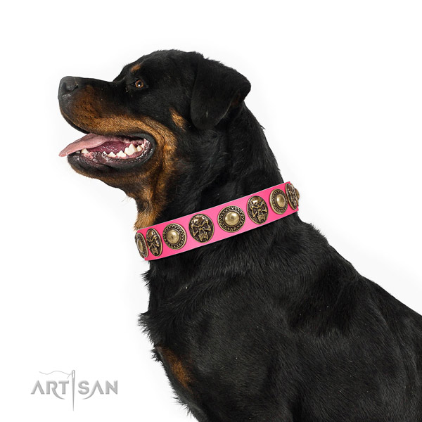 Easy wearing genuine leather collar for your beautiful pet