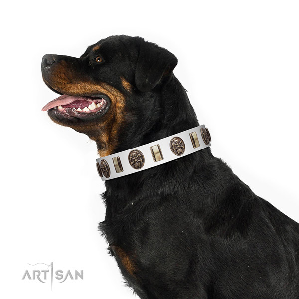 Genuine leather dog collar with unusual adornments