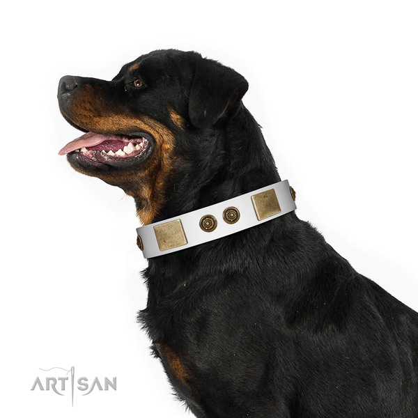 Exquisite dog collar handmade for your handsome four-legged friend