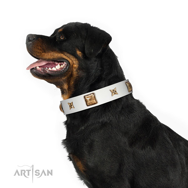 Amazing full grain leather dog collar with decorations