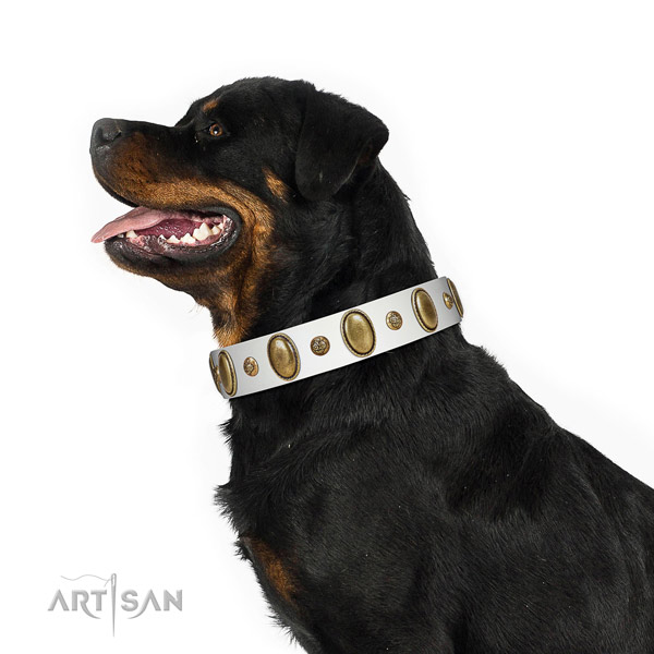 Fine quality genuine leather dog collar with durable D-ring