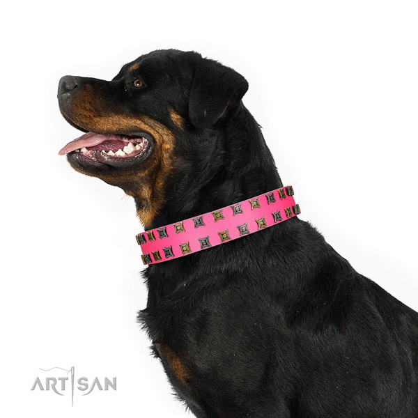 Top rate full grain natural leather dog collar with embellishments for your canine
