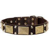 Rottweiler Dog Leather Dog Collar- brass massive +2 pyramids