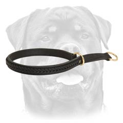 Adjustable easy handling dog collar