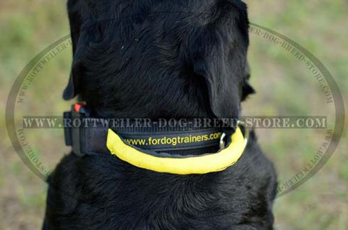 Finest Rottweiler Nylon Collar