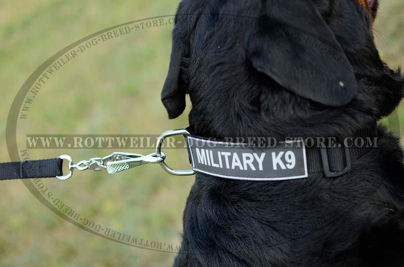 Get Nylon Rottweiler Collar, Velcro Patches