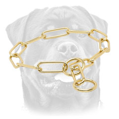 Rottweiler training Collar of finest quality