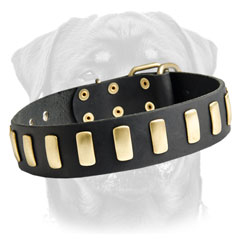 Leather dog collar with hand polished surfaces