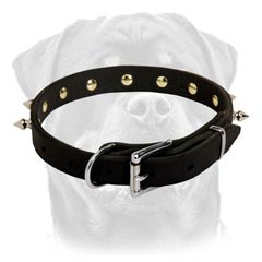 Custom made leather dog collar is constructed of  superior materials