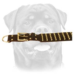 Widest leather dog collar