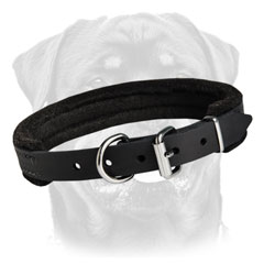 Handmade leather collar