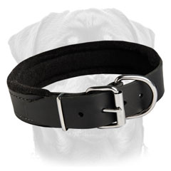 Handmade felt padded leather collar