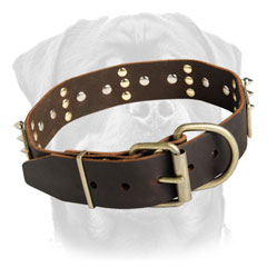 Hand crafted canine collar