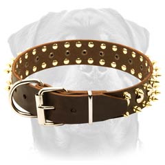 Spiked & studded leather dog collar