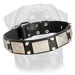 Decorated leather collar