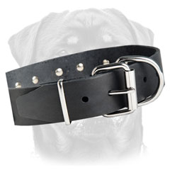 Designer leather dog collar for walking/training