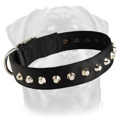 Best Rottweiler nylon collar