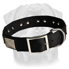 Personalized nylon collar