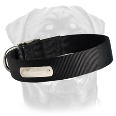 High quality nylon collar